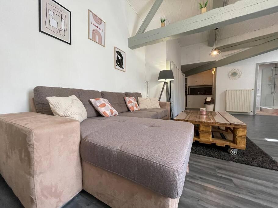 L'Appartement Marceau - 55M2 - Carcassonne Centre Εξωτερικό φωτογραφία